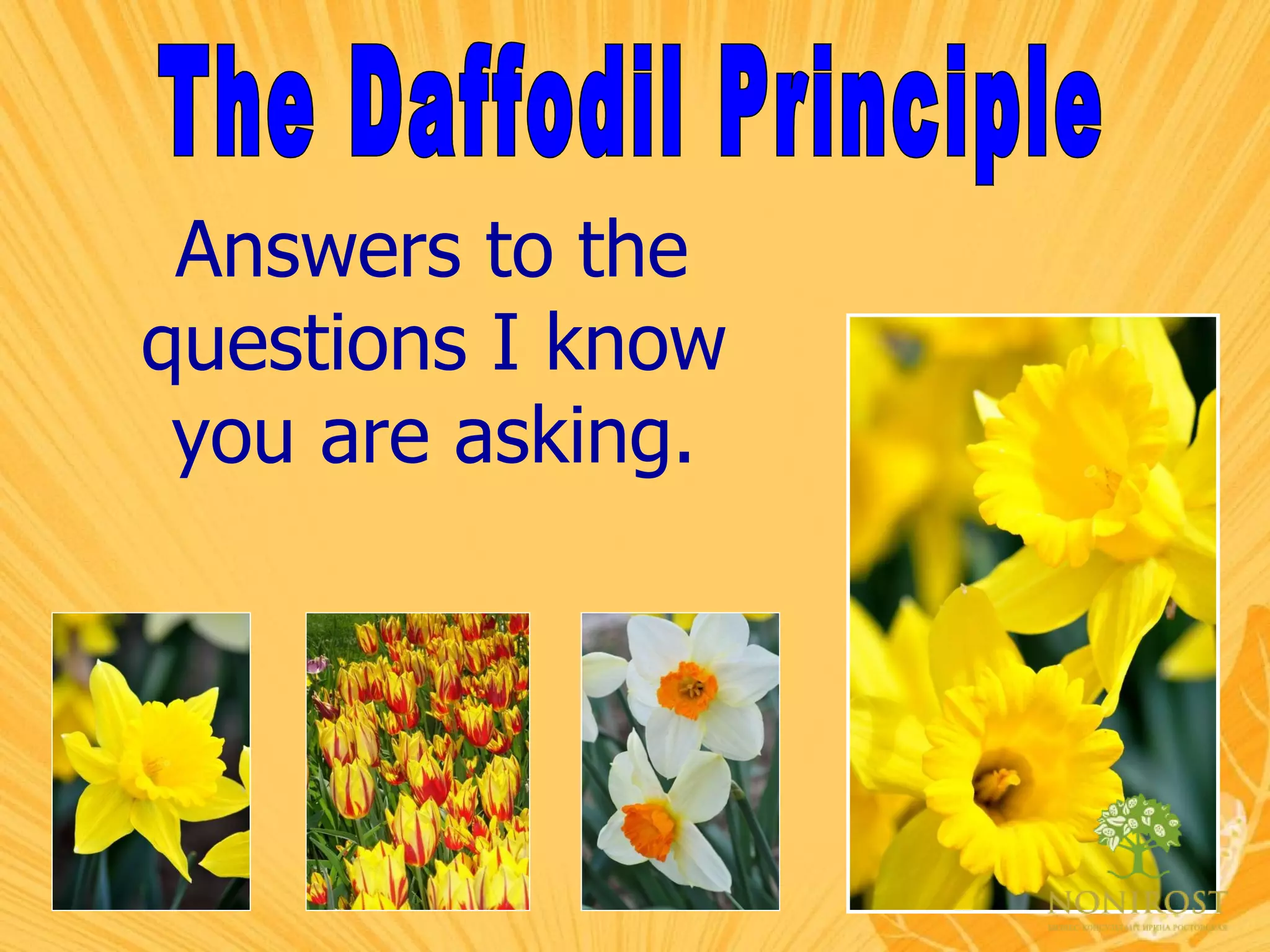 The Daffodil Principle Answers to the questions I know you are asking. 