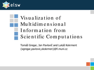 Visualization of Multidimensional Information from Scientific Computations