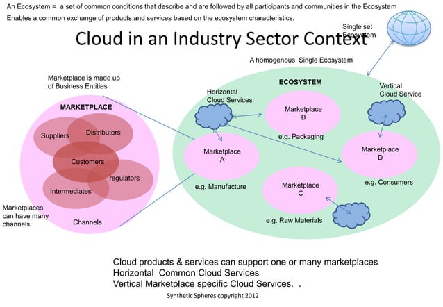 Visualization of an digital ecosystem capgemini m skilton v1 | PPT