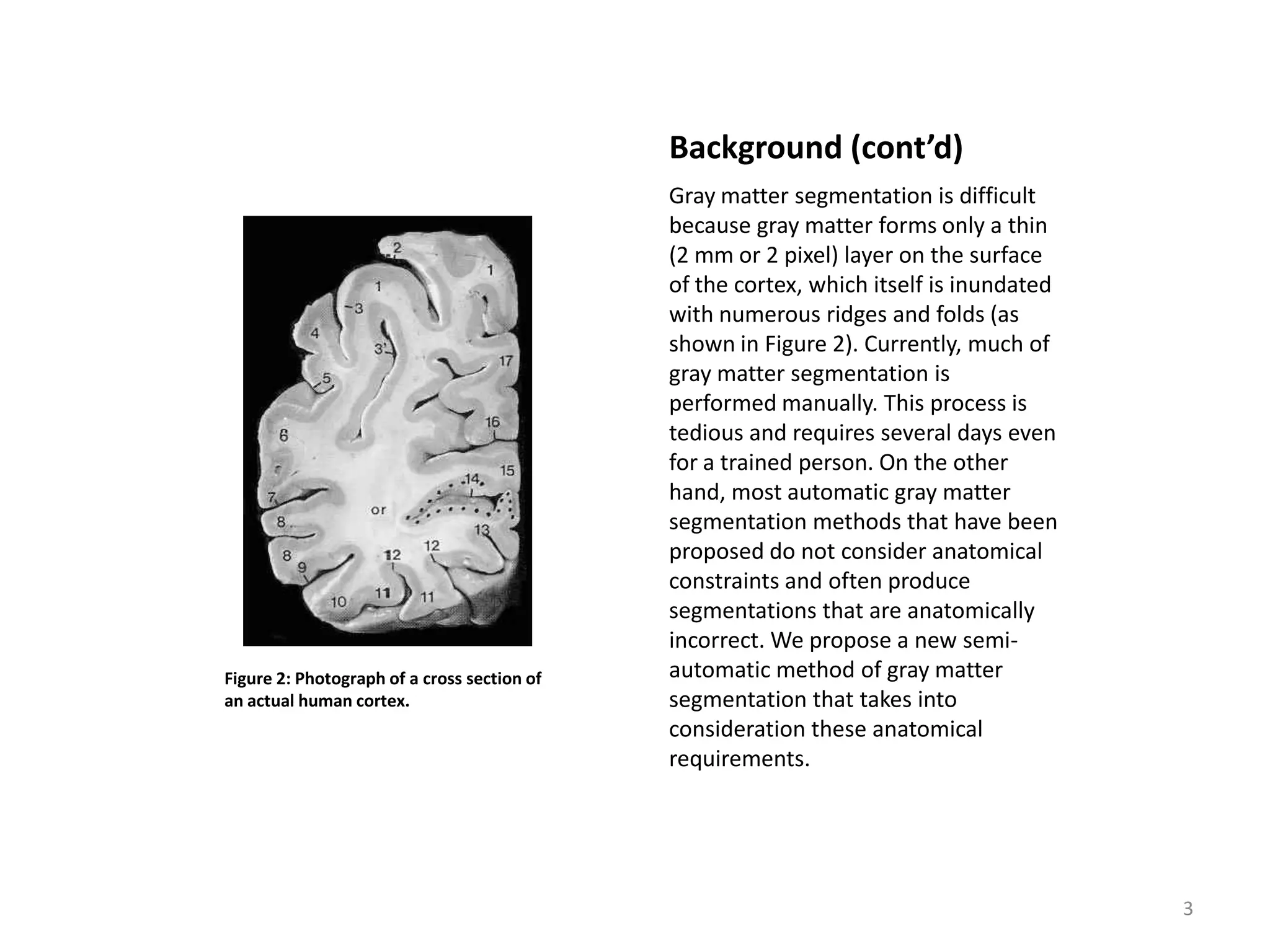 Background (cont’d)
                                             Gray matter segmentation is difficult
                                             because gray matter forms only a thin
                                             (2 mm or 2 pixel) layer on the surface
                                             of the cortex, which itself is inundated
                                             with numerous ridges and folds (as
                                             shown in Figure 2). Currently, much of
                                             gray matter segmentation is
                                             performed manually. This process is
                                             tedious and requires several days even
                                             for a trained person. On the other
                                             hand, most automatic gray matter
                                             segmentation methods that have been
                                             proposed do not consider anatomical
                                             constraints and often produce
                                             segmentations that are anatomically
                                             incorrect. We propose a new semi-
Figure 2: Photograph of a cross section of   automatic method of gray matter
an actual human cortex.                      segmentation that takes into
                                             consideration these anatomical
                                             requirements.




                                                                                        3
 