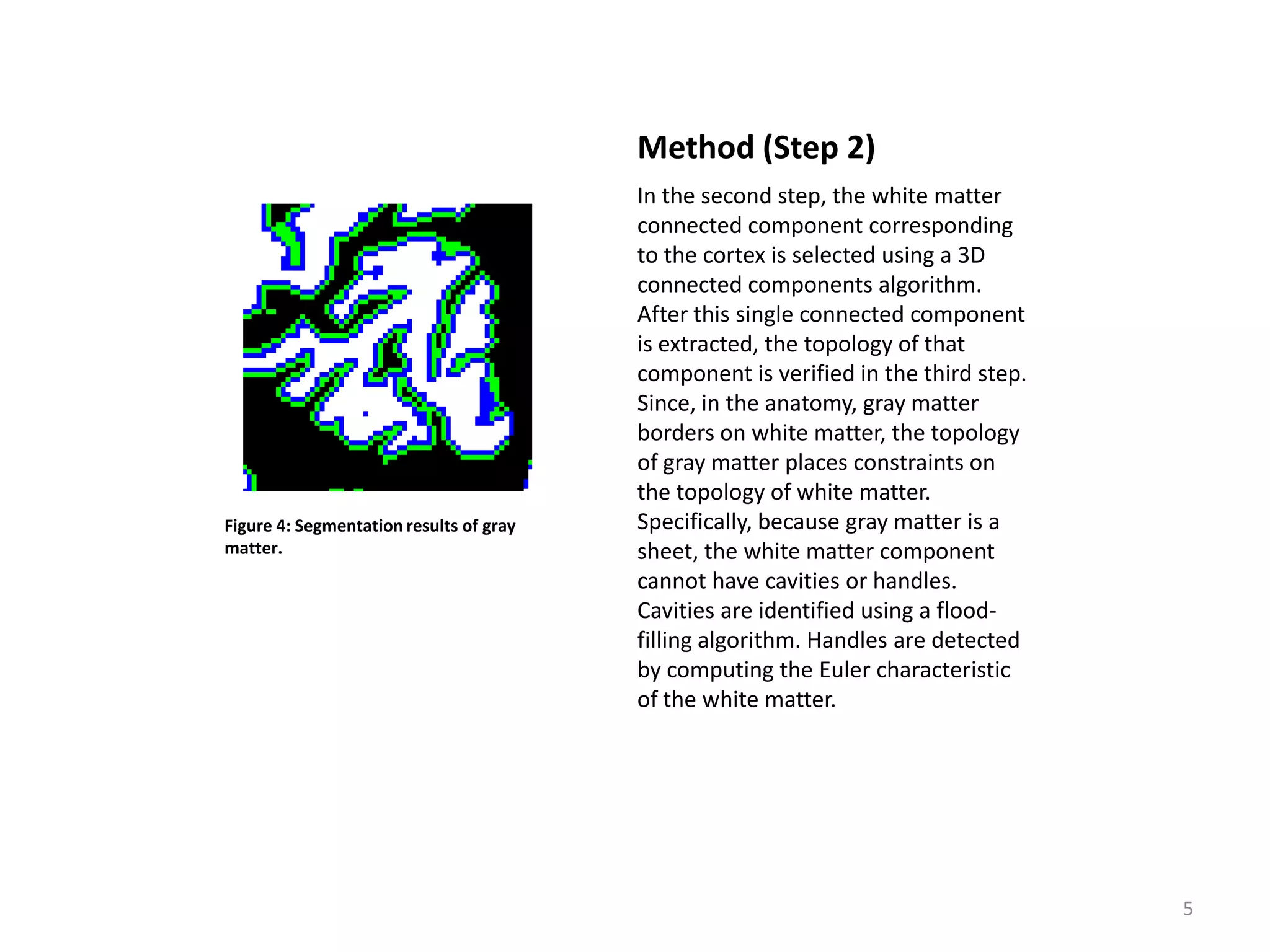 Method (Step 2)
                                         In the second step, the white matter
                                         connected component corresponding
                                         to the cortex is selected using a 3D
                                         connected components algorithm.
                                         After this single connected component
                                         is extracted, the topology of that
                                         component is verified in the third step.
                                         Since, in the anatomy, gray matter
                                         borders on white matter, the topology
                                         of gray matter places constraints on
                                         the topology of white matter.
Figure 4: Segmentation results of gray   Specifically, because gray matter is a
matter.                                  sheet, the white matter component
                                         cannot have cavities or handles.
                                         Cavities are identified using a flood-
                                         filling algorithm. Handles are detected
                                         by computing the Euler characteristic
                                         of the white matter.




                                                                                    5
 