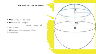 • ⚫11.5-12.5 sq cms
• ⚫Round in shape
More temporal
than nasal
• ⚫Larger in myopes than
hyperopes
How much retina is there ?!
 