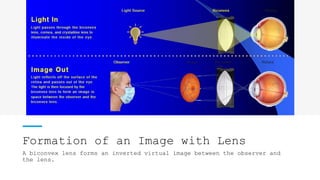 Formation of an Image with Lens
A biconvex lens forms an inverted virtual image between the observer and
the lens.
 