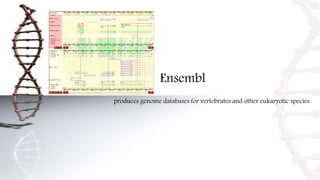 Visualization Tools | PPTX