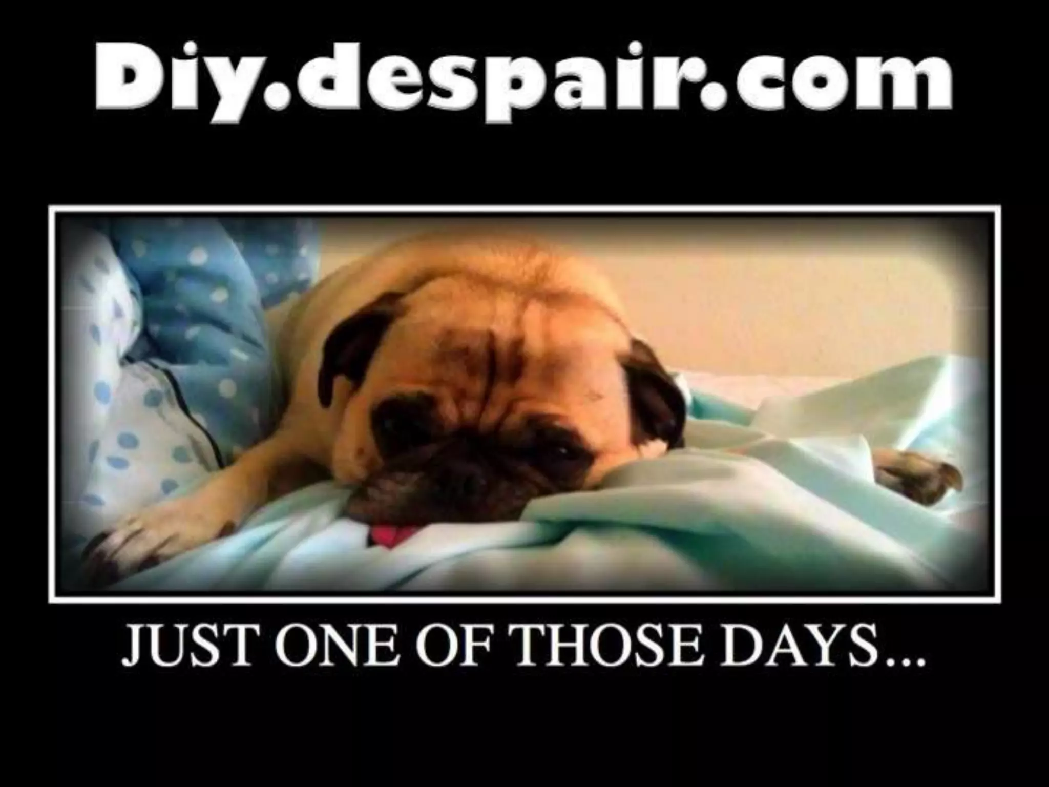 Visualizing Vocabulary with Your Students