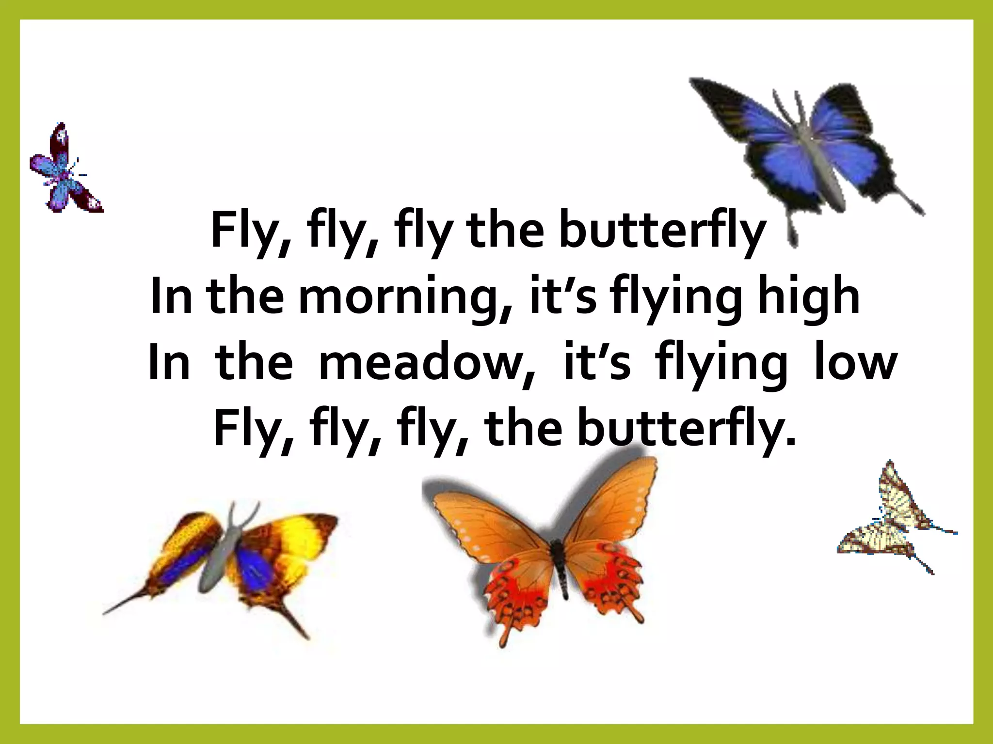 Fly, fly, fly the butterfly
In the morning, it’s flying high
In the meadow, it’s flying low
Fly, fly, fly, the butterfly.
 