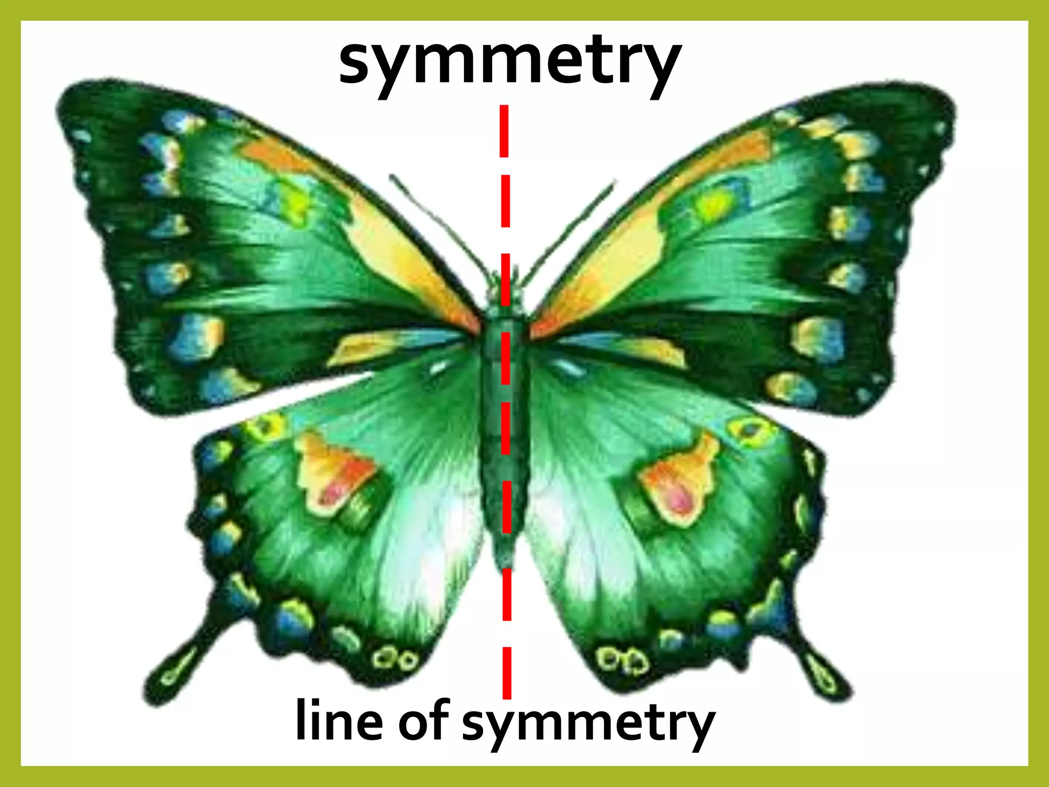 symmetry
line of symmetry
 
