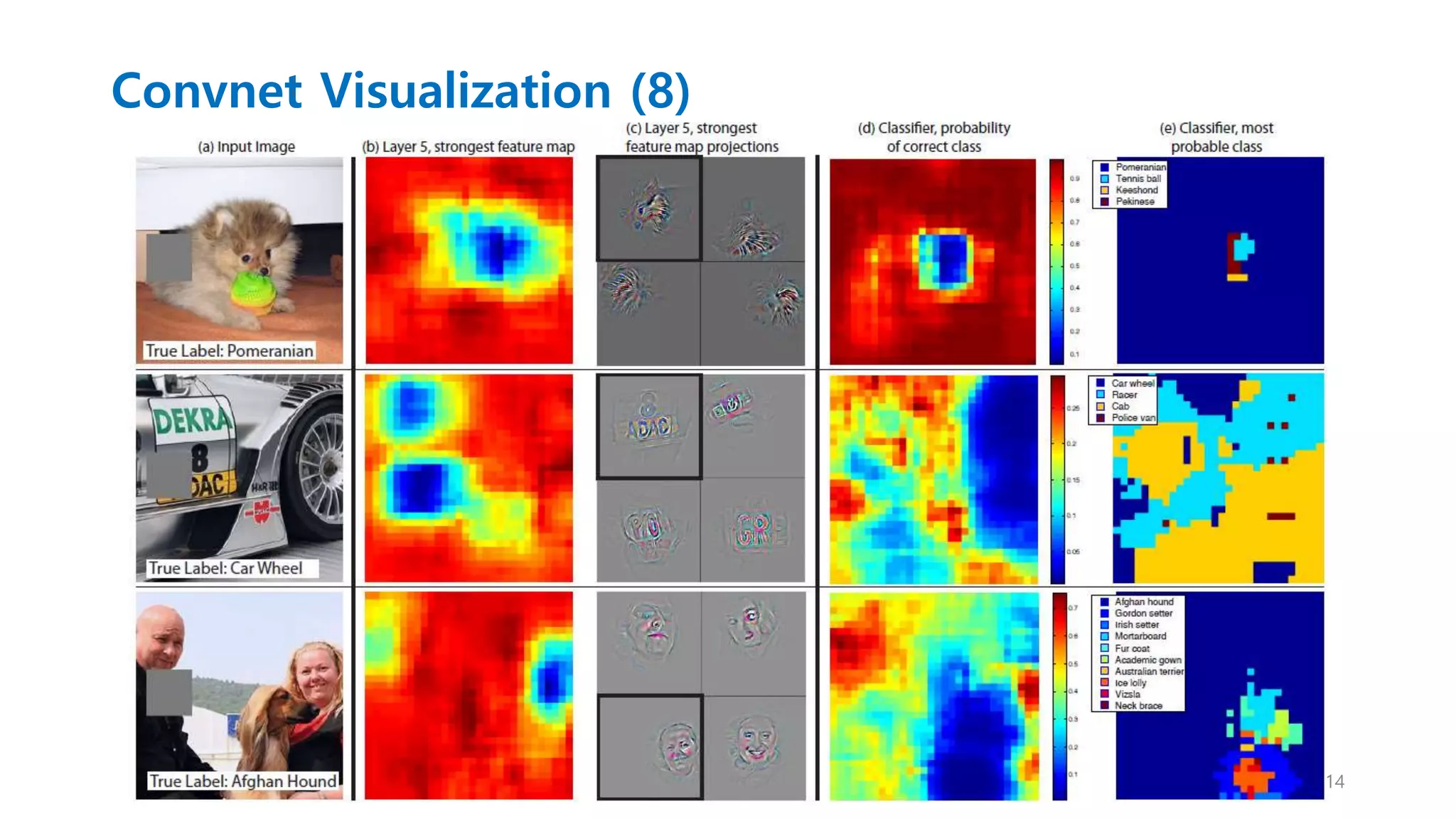 Convnet Visualization (8)
14
 