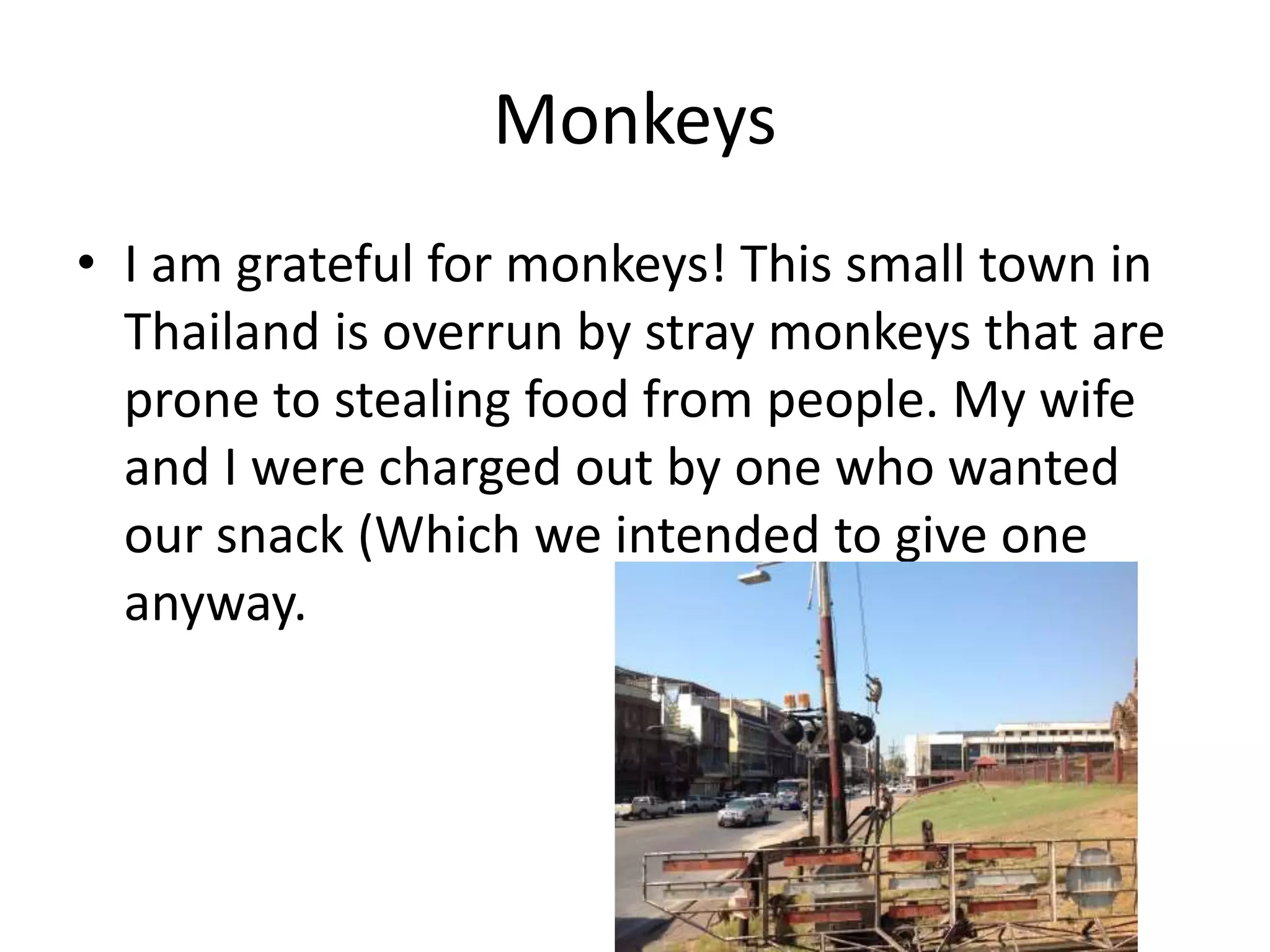 Monkeys
• I am grateful for monkeys! This small town in
Thailand is overrun by stray monkeys that are
prone to stealing food from people. My wife
and I were charged out by one who wanted
our snack (Which we intended to give one
anyway.
 