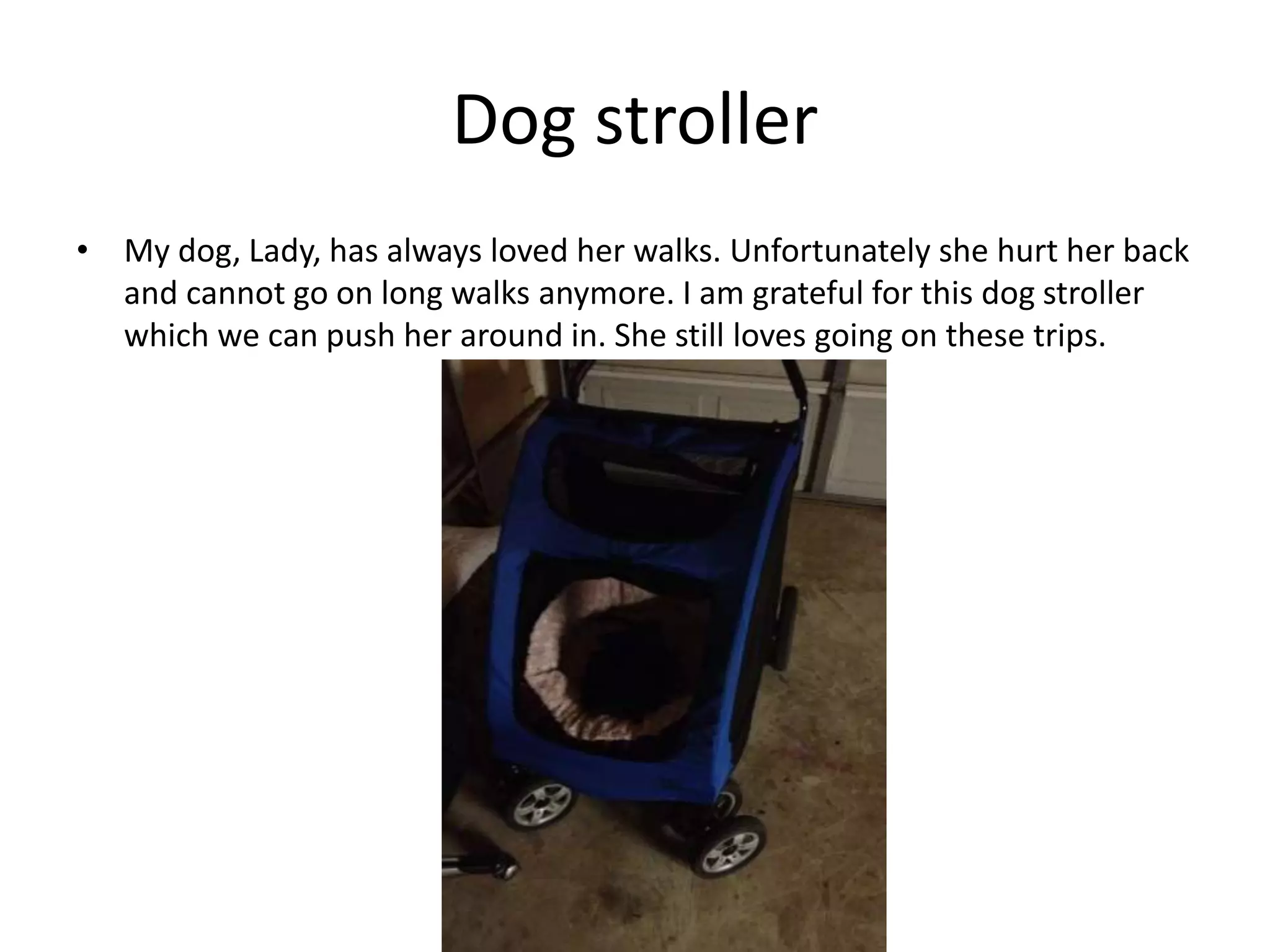 Dog stroller
• My dog, Lady, has always loved her walks. Unfortunately she hurt her back
and cannot go on long walks anymore. I am grateful for this dog stroller
which we can push her around in. She still loves going on these trips.
 