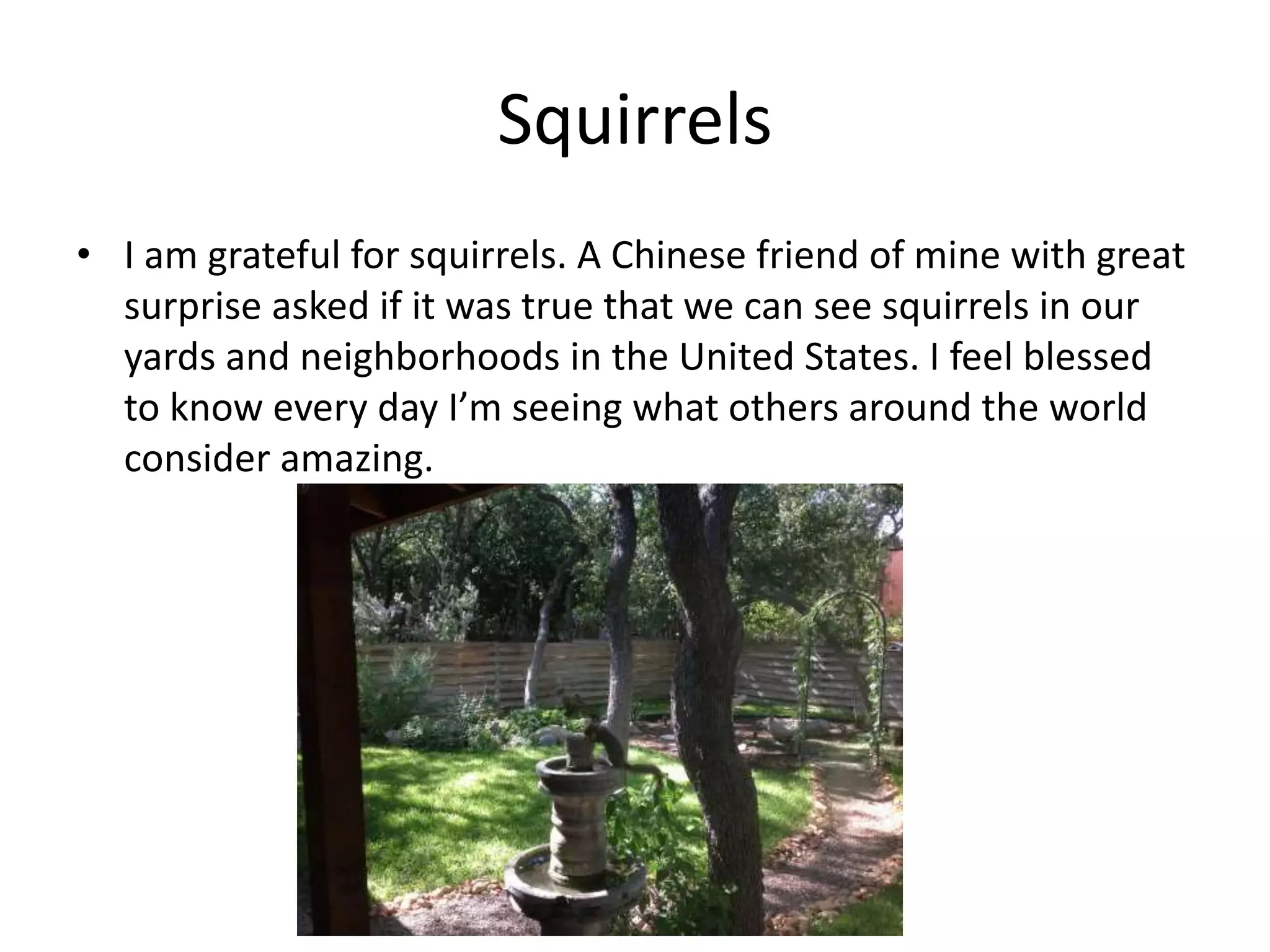 Squirrels
• I am grateful for squirrels. A Chinese friend of mine with great
surprise asked if it was true that we can see squirrels in our
yards and neighborhoods in the United States. I feel blessed
to know every day I’m seeing what others around the world
consider amazing.
 