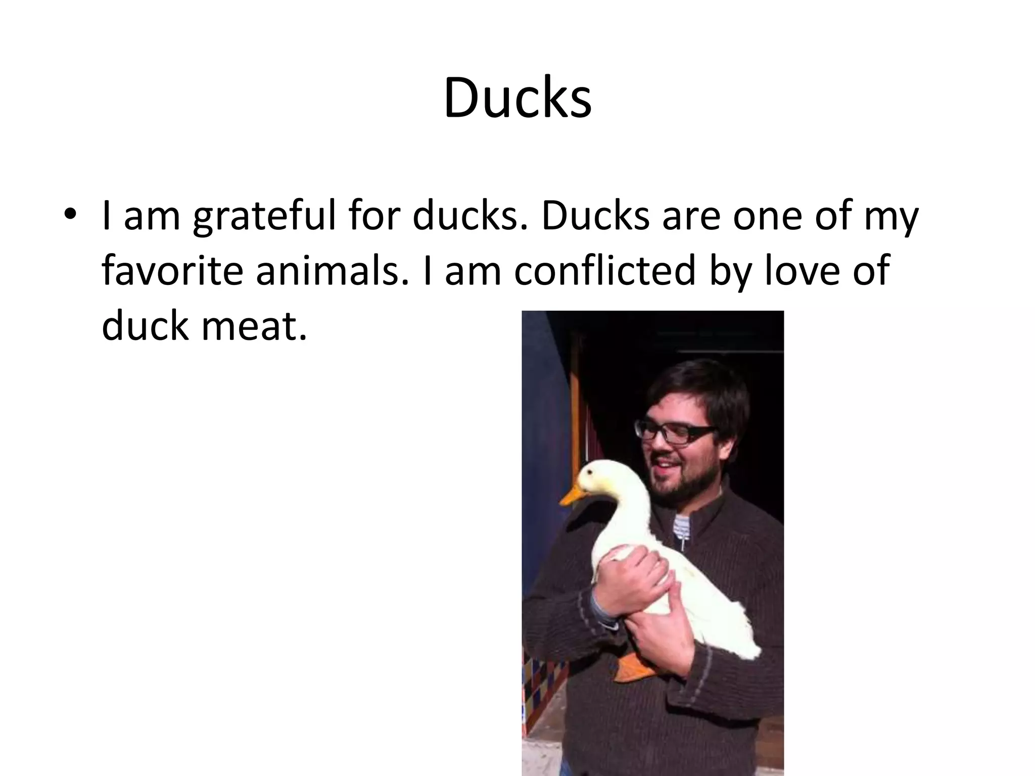 Ducks
• I am grateful for ducks. Ducks are one of my
favorite animals. I am conflicted by love of
duck meat.
 