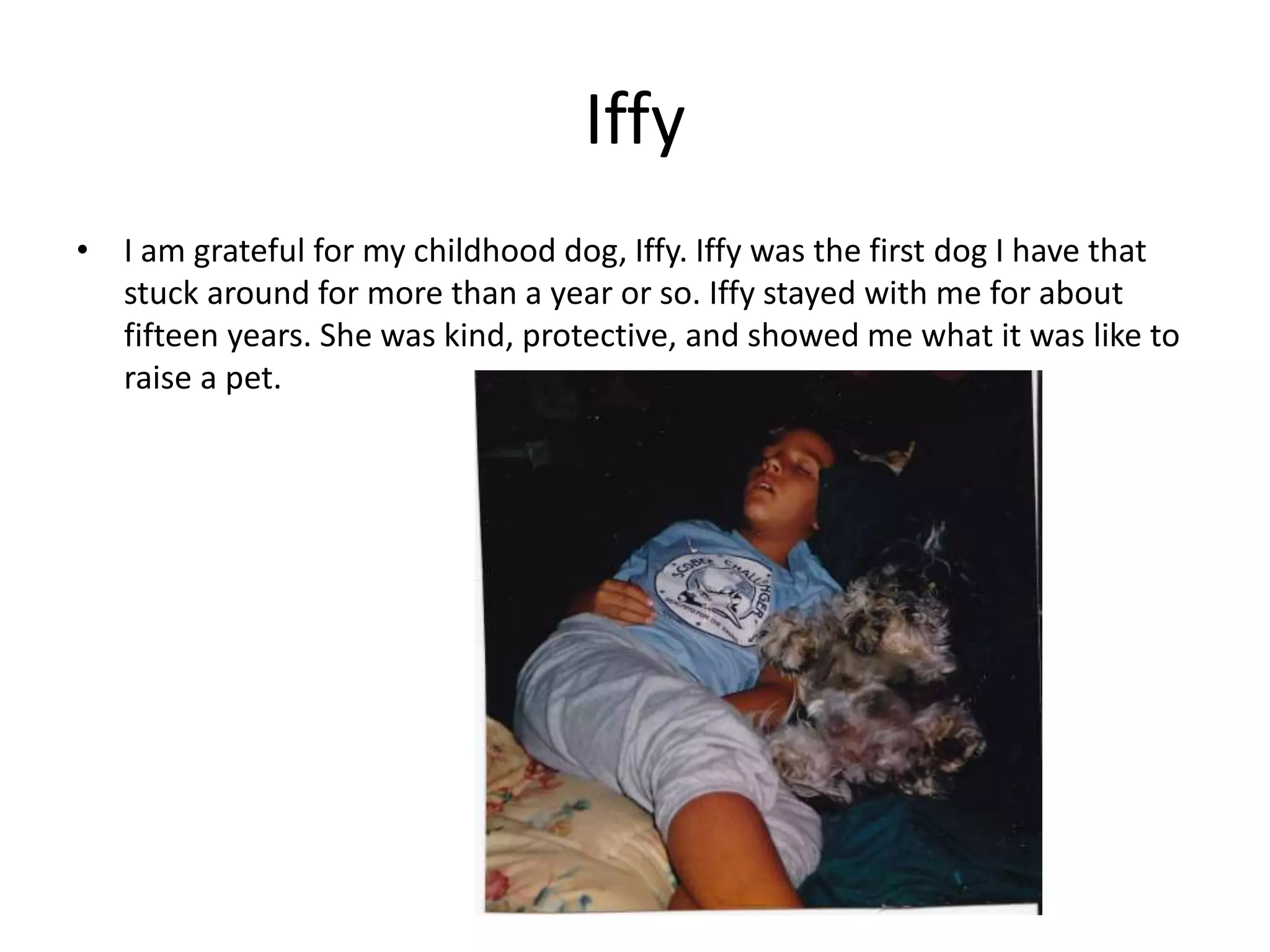Iffy
• I am grateful for my childhood dog, Iffy. Iffy was the first dog I have that
stuck around for more than a year or so. Iffy stayed with me for about
fifteen years. She was kind, protective, and showed me what it was like to
raise a pet.
 