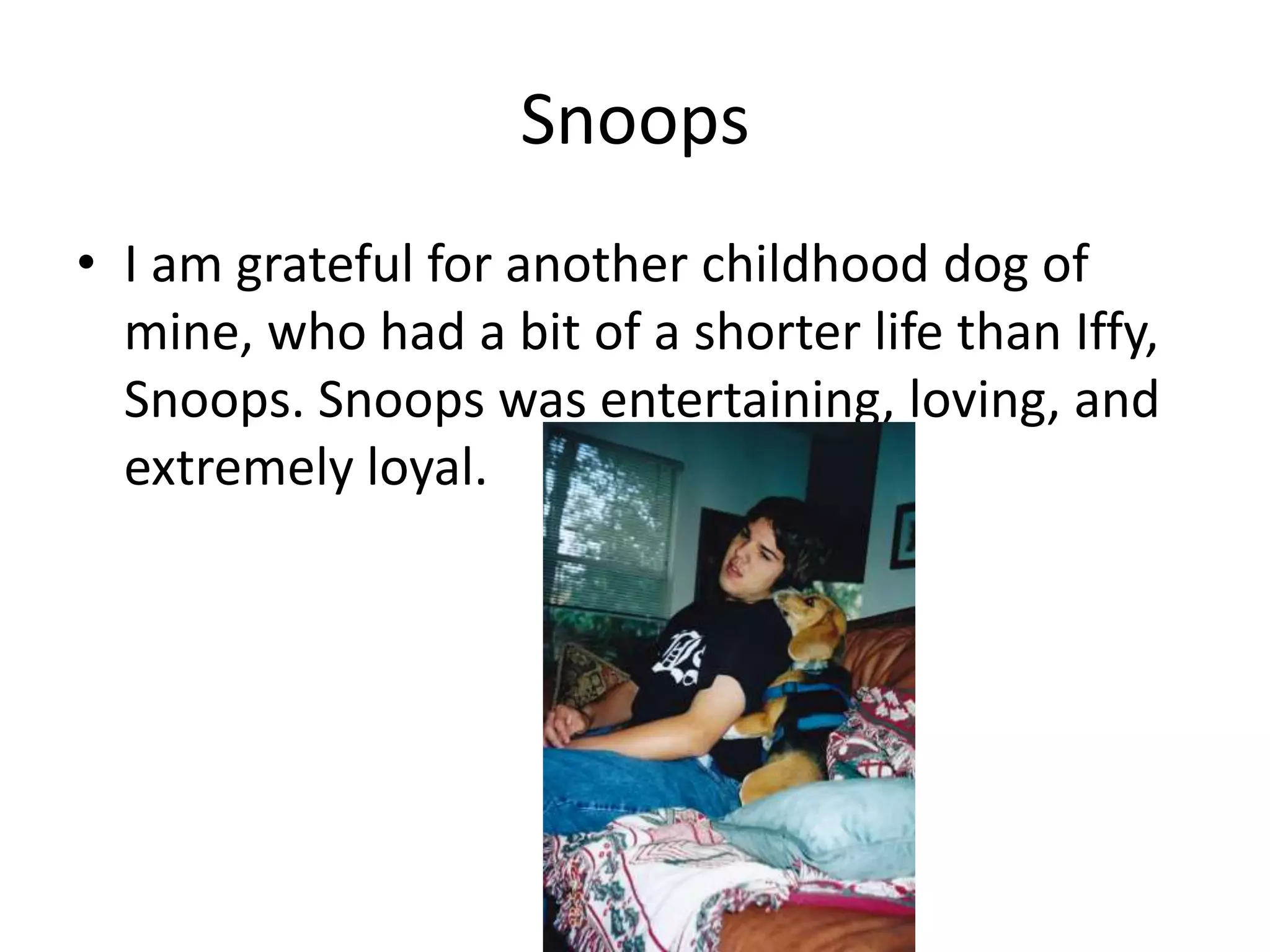 Snoops
• I am grateful for another childhood dog of
mine, who had a bit of a shorter life than Iffy,
Snoops. Snoops was entertaining, loving, and
extremely loyal.
 