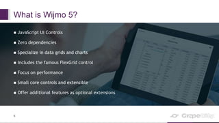 Visualizing large data sets with wijmo enterprise webinar | PPTX
