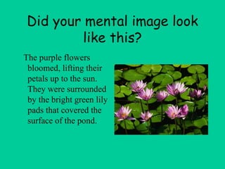 Did your mental image look
like this?
The purple flowers
bloomed, lifting their
petals up to the sun.
They were surrounded
by the bright green lily
pads that covered the
surface of the pond.
 