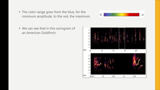 Visualizing sound | PPTX