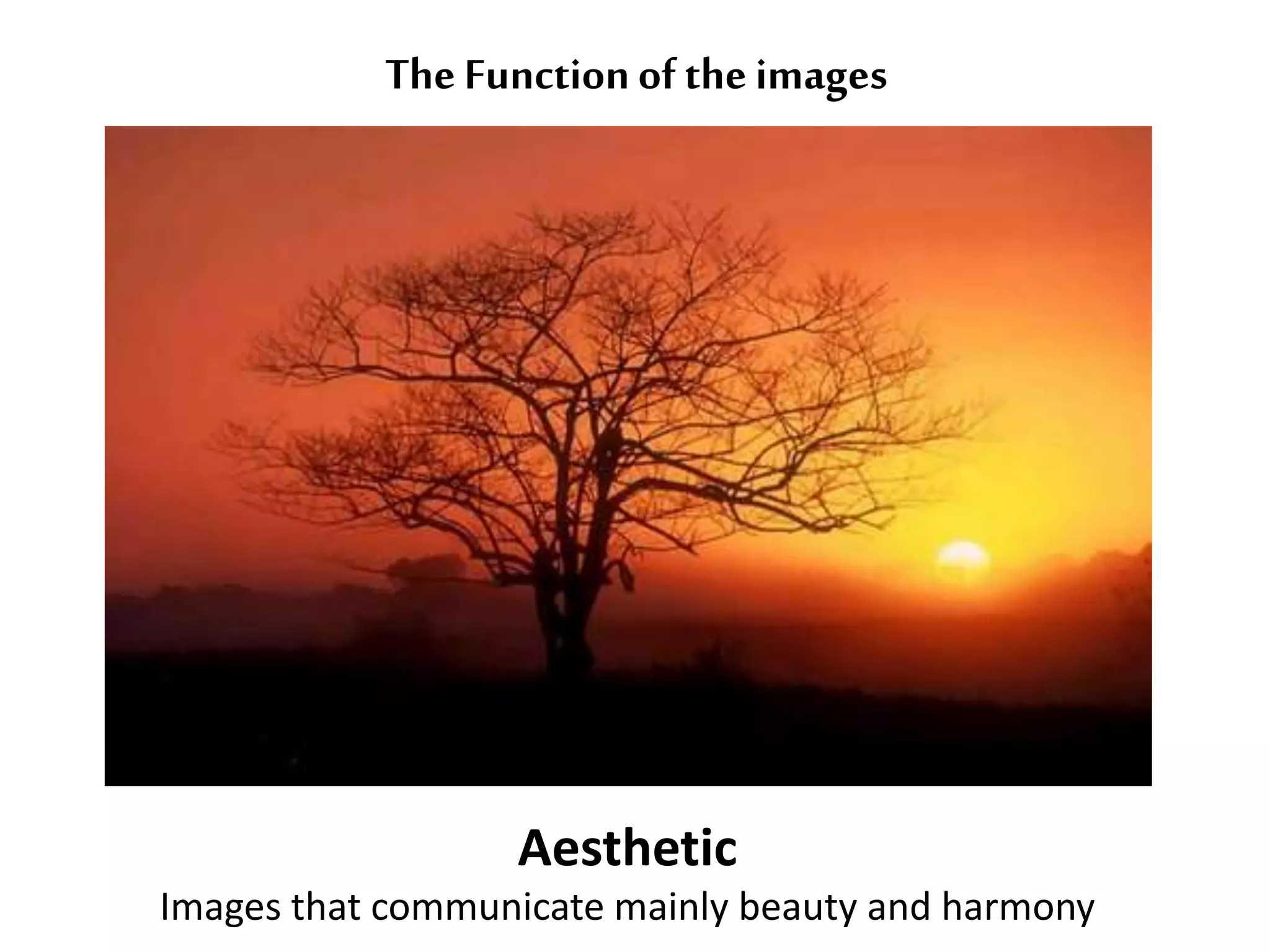 The Function of the images 
Aesthetic 
Images that communicate mainly beauty and harmony 
 