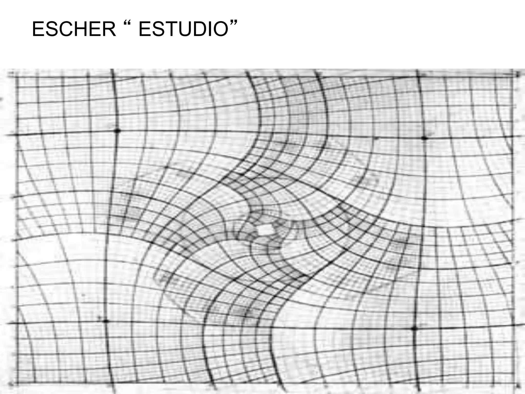 ESCHER “ ESTUDIO”
 