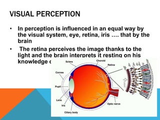 VISUAL PERCEPTION
• In perception is influenced in an equal way by
the visual system, eye, retina, iris …. that by the
brain
• The retina perceives the image thanks to the
light and the brain interprets it resting on his
knowledge of the environment
 