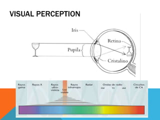 VISUAL PERCEPTION
 