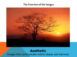 Aesthetic
Images that communicate mainly beauty and harmony
The Functionof the images
 