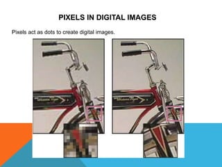 PIXELS IN DIGITAL IMAGES
Pixels act as dots to create digital images.
 