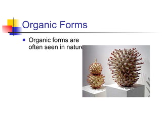 Organic Insect Form Visual literacy | PPT