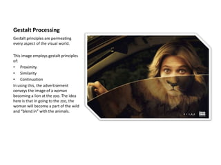 Gestalt ProcessingGestalt principles are permeating every aspect of the visual world.This image employs gestalt principles of:Proximity
