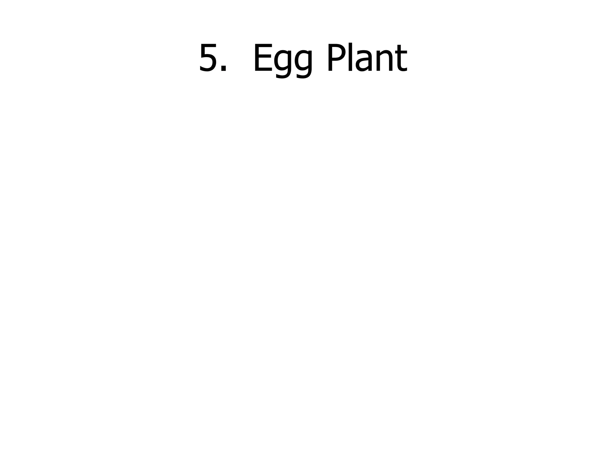 5.  Egg Plant 
