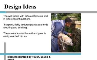 Design Ideas
The wall is laid with different textures and
in different configurations.
Fragrant, richly textured plants also invite
touching and smelling.
They cascade over the wall and grow in
easily reached niches

Ideas Recognized by Touch, Sound &

 
