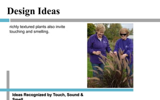 Design Ideas
richly textured plants also invite
touching and smelling.

Ideas Recognized by Touch, Sound &

 