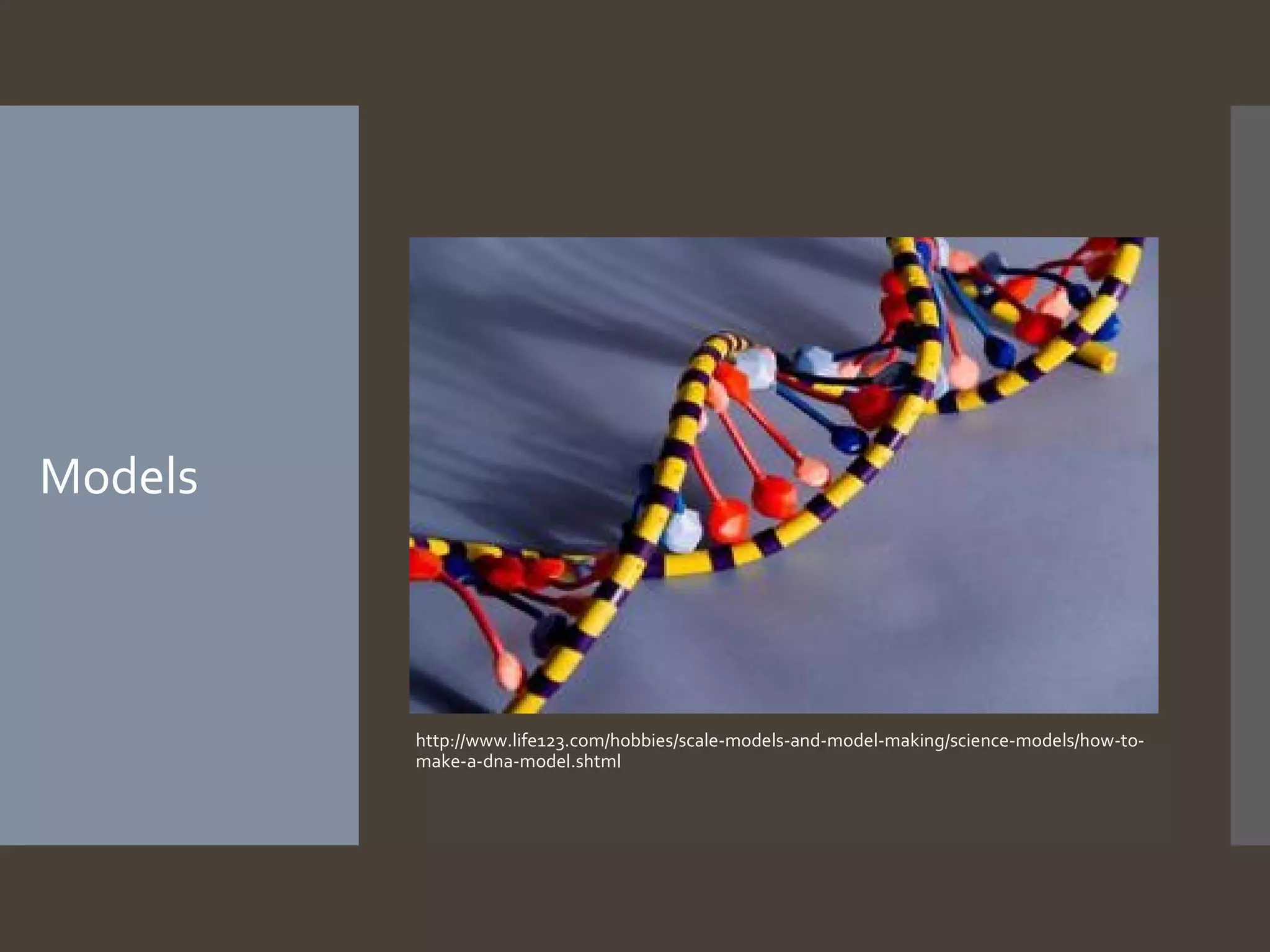 Models

http://www.life123.com/hobbies/scale-models-and-model-making/science-models/how-tomake-a-dna-model.shtml

 