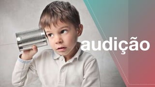 audição
 