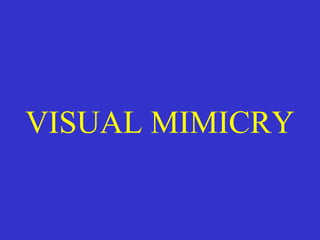 VISUAL MIMICRY
 