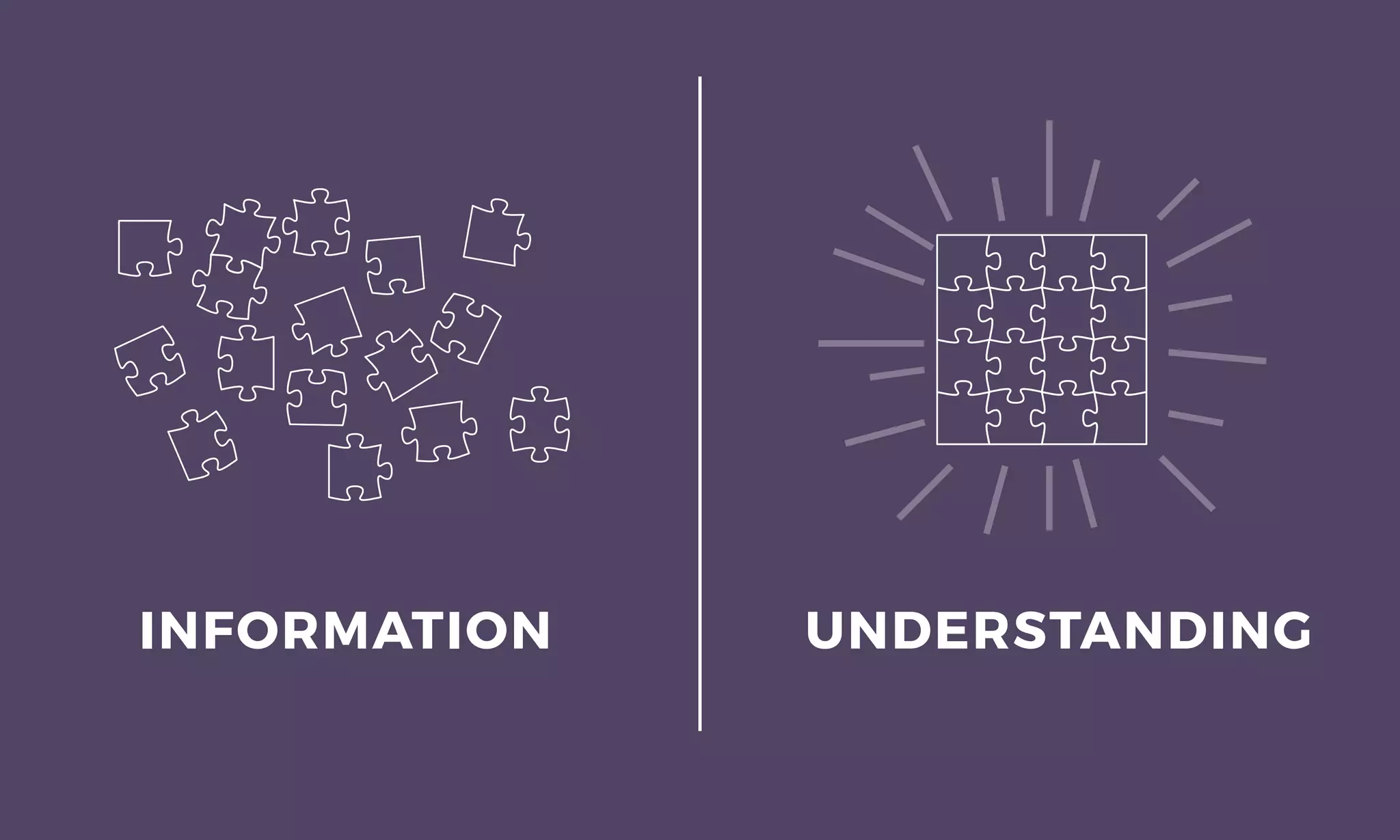 INFORMATION UNDERSTANDING
 