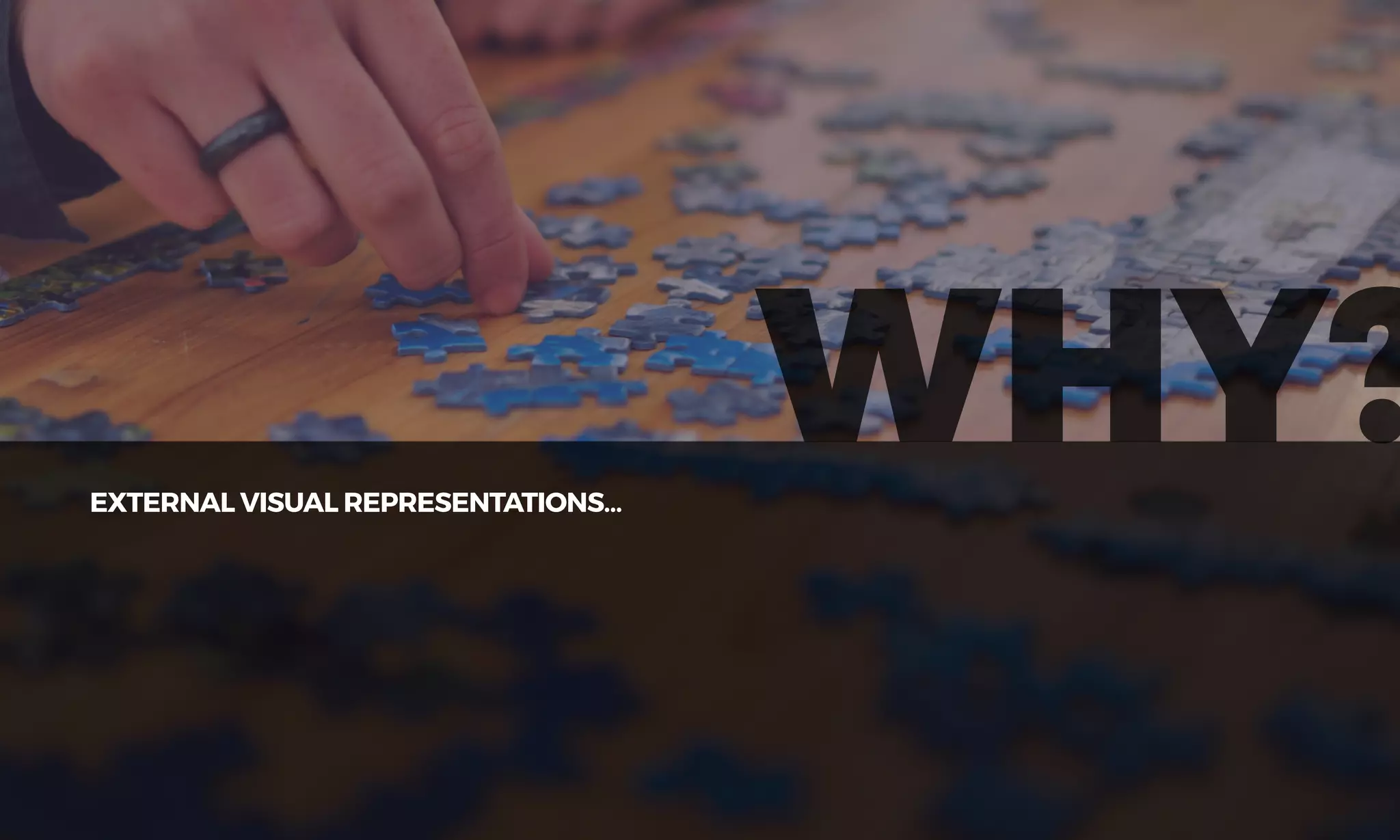 EXTERNAL VISUAL REPRESENTATIONS…
WHY?
 