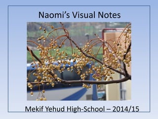 Naomi’s Visual Notes
Mekif Yehud High-School – 2014/15
 