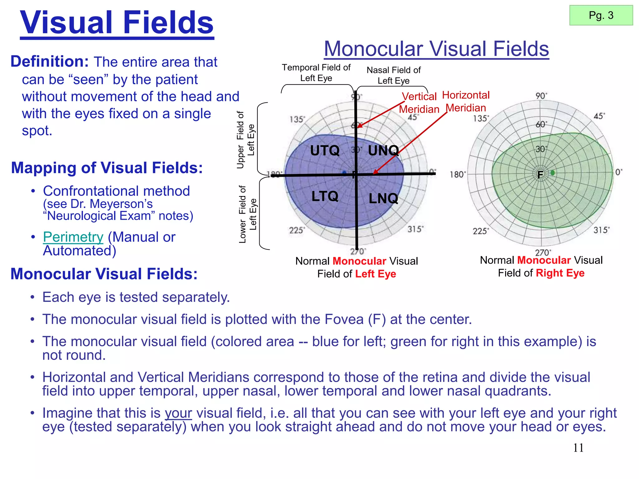 11
Definition: The entire area that
can be “seen” by the patient
without movement of the head and
with the eyes fixed on a single
spot.
Visual Fields Pg. 3
Mapping of Visual Fields:
• Confrontational method
(see Dr. Meyerson’s
“Neurological Exam” notes)
• Perimetry (Manual or
Automated)
Temporal Field of
Left Eye
Nasal Field of
Left Eye
F
Normal Monocular Visual
Field of Right Eye
Normal Monocular Visual
Field of Left Eye
F
Monocular Visual Fields
Monocular Visual Fields:
• Each eye is tested separately.
• The monocular visual field is plotted with the Fovea (F) at the center.
• The monocular visual field (colored area -- blue for left; green for right in this example) is
not round.
• Horizontal and Vertical Meridians correspond to those of the retina and divide the visual
field into upper temporal, upper nasal, lower temporal and lower nasal quadrants.
• Imagine that this is your visual field, i.e. all that you can see with your left eye and your right
eye (tested separately) when you look straight ahead and do not move your head or eyes.
Vertical
Meridian
Horizontal
Meridian
Upper
Field
of
Left
Eye
Lower
Field
of
Left
Eye
UTQ
LTQ
UNQ
LNQ
 