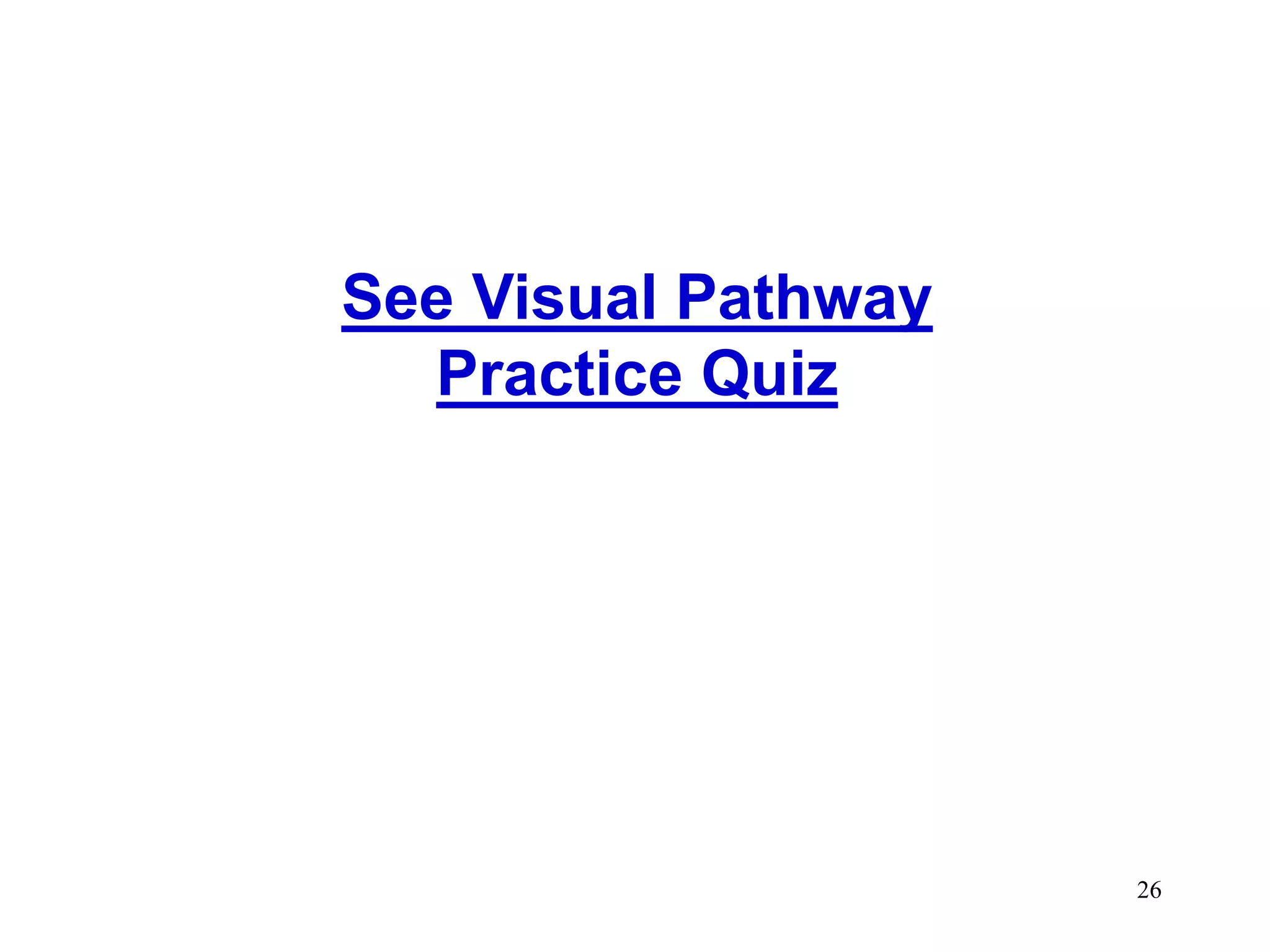 26
See Visual Pathway
Practice Quiz
 