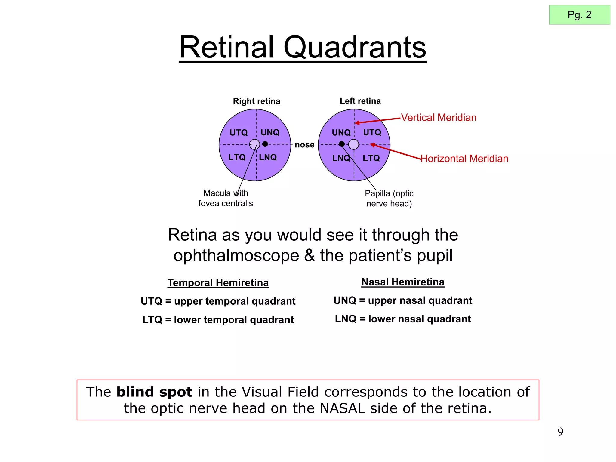 9
Retinal Quadrants
nose
UTQ UTQ
LTQ LTQ
LNQ
LNQ
UNQ UNQ
Right retina Left retina
Papilla (optic
nerve head)
Macula with
fovea centralis
Retina as you would see it through the
ophthalmoscope & the patient’s pupil
Temporal Hemiretina
UTQ = upper temporal quadrant
LTQ = lower temporal quadrant
Nasal Hemiretina
UNQ = upper nasal quadrant
LNQ = lower nasal quadrant
Horizontal Meridian
Vertical Meridian
Pg. 2
The blind spot in the Visual Field corresponds to the location of
the optic nerve head on the NASAL side of the retina.
 