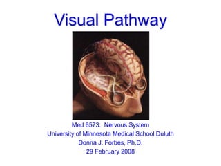 Visual Pathway
Med 6573: Nervous System
University of Minnesota Medical School Duluth
Donna J. Forbes, Ph.D.
29 February 2008
 