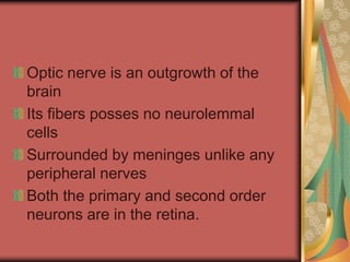Optic nerve is an outgrowth of the
brain
Its fibers posses no neurolemmal
cells
Surrounded by meninges unlike any
peripheral nerves
Both the primary and second order
neurons are in the retina.
 