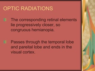 OPTIC RADIATIONS

  The corresponding retinal elements
  lie progressively closer, so
  congruous hemianopia.

  Passes through the temporal lobe
  and pareital lobe and ends in the
  visual cortex.
 