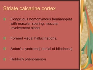 Striate calcarine cortex
   Congruous homonymous hemianopias
   with macular sparing, macular
   involvement alone.

   Formed visual hallucinations.

   Anton's syndrome[ denial of blindness]

   Riddoch phenomenon
 