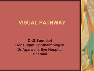 VISUAL PATHWAY


      Dr.S.Soundari
Consultant Ophthalmologist
 Dr Agarwal’s Eye Hospital
         Chennai
 