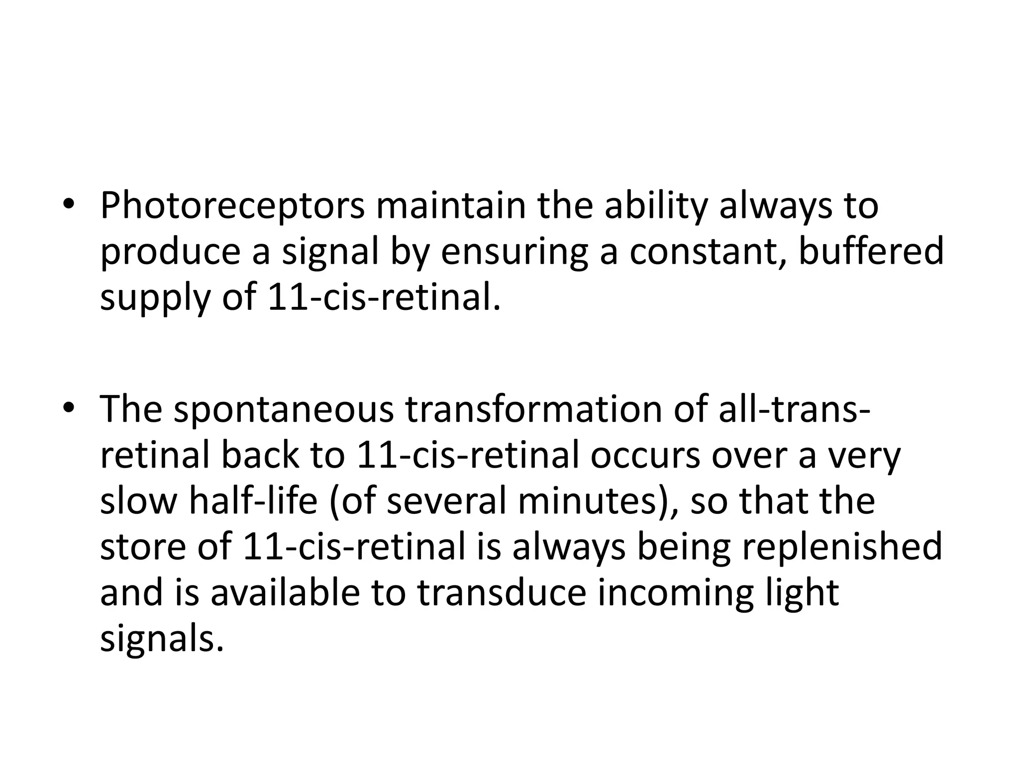 • Photoreceptors maintain the ability always to
produce a signal by ensuring a constant, buffered
supply of 11-cis-retinal.
• The spontaneous transformation of all-trans-
retinal back to 11-cis-retinal occurs over a very
slow half-life (of several minutes), so that the
store of 11-cis-retinal is always being replenished
and is available to transduce incoming light
signals.
 