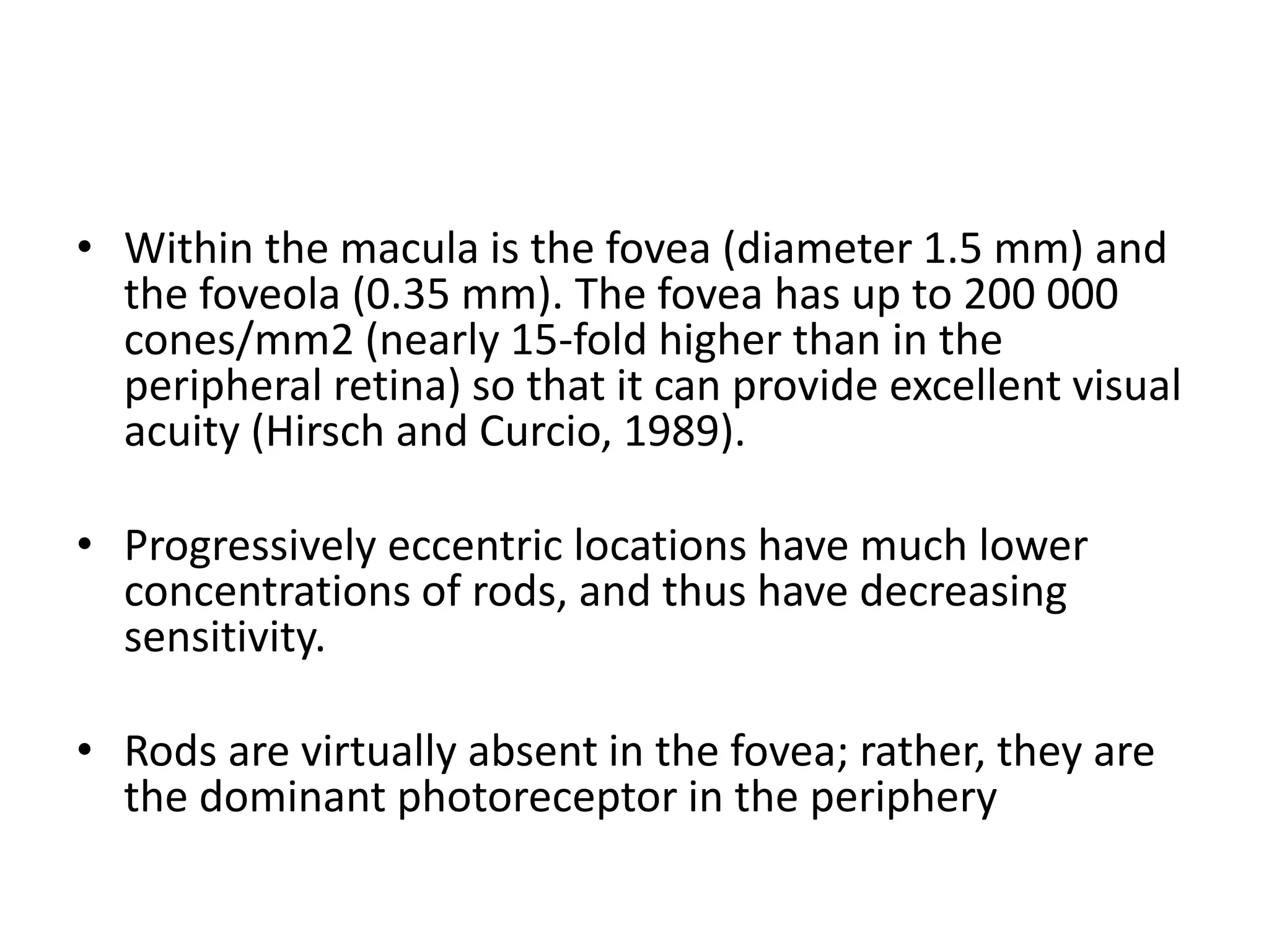• Within the macula is the fovea (diameter 1.5 mm) and
the foveola (0.35 mm). The fovea has up to 200 000
cones/mm2 (nearly 15-fold higher than in the
peripheral retina) so that it can provide excellent visual
acuity (Hirsch and Curcio, 1989).
• Progressively eccentric locations have much lower
concentrations of rods, and thus have decreasing
sensitivity.
• Rods are virtually absent in the fovea; rather, they are
the dominant photoreceptor in the periphery
 