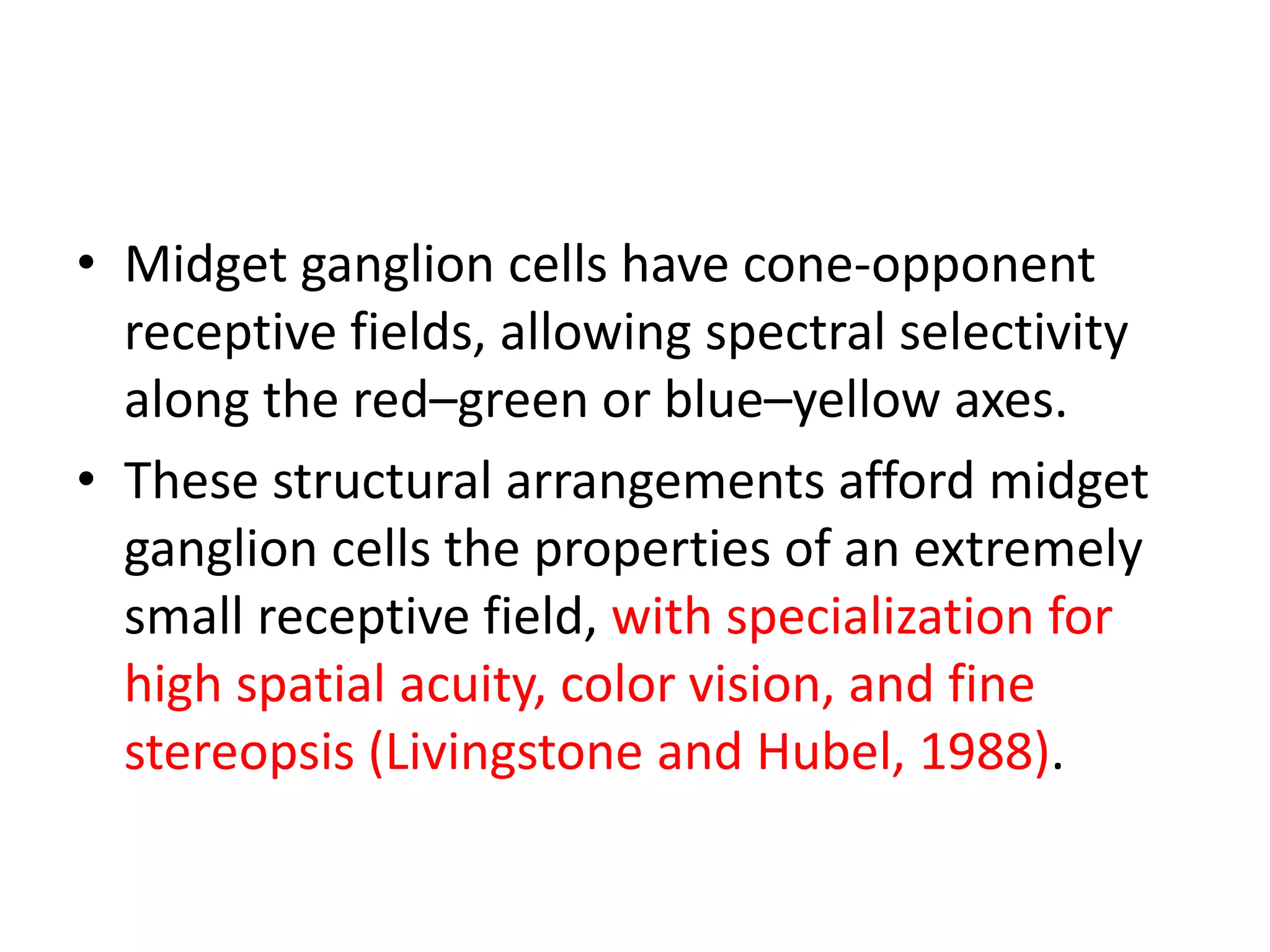 • Midget ganglion cells have cone-opponent
receptive fields, allowing spectral selectivity
along the red–green or blue–yellow axes.
• These structural arrangements afford midget
ganglion cells the properties of an extremely
small receptive field, with specialization for
high spatial acuity, color vision, and fine
stereopsis (Livingstone and Hubel, 1988).
 