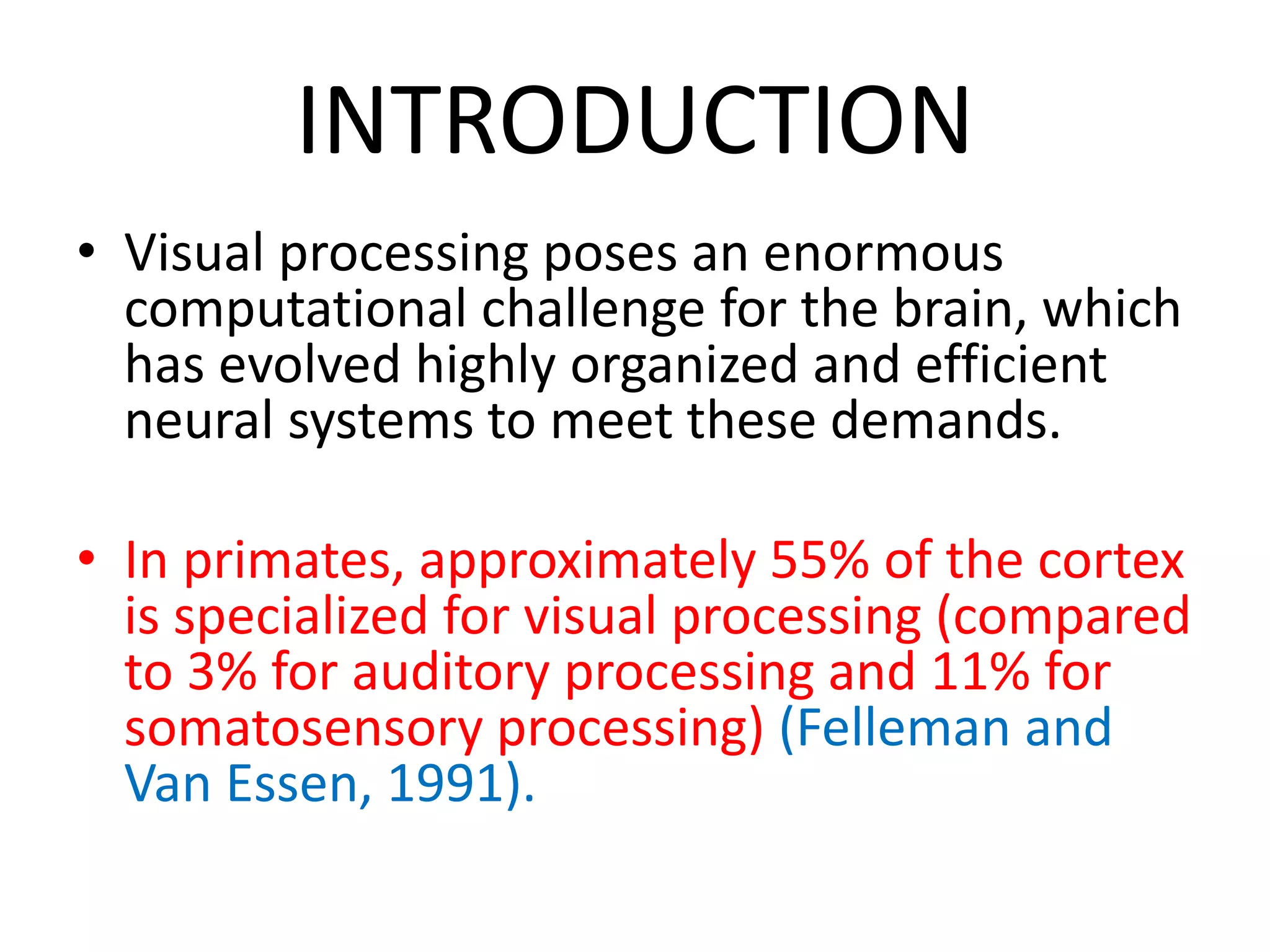 INTRODUCTION
• Visual processing poses an enormous
computational challenge for the brain, which
has evolved highly organized and efficient
neural systems to meet these demands.
• In primates, approximately 55% of the cortex
is specialized for visual processing (compared
to 3% for auditory processing and 11% for
somatosensory processing) (Felleman and
Van Essen, 1991).
 